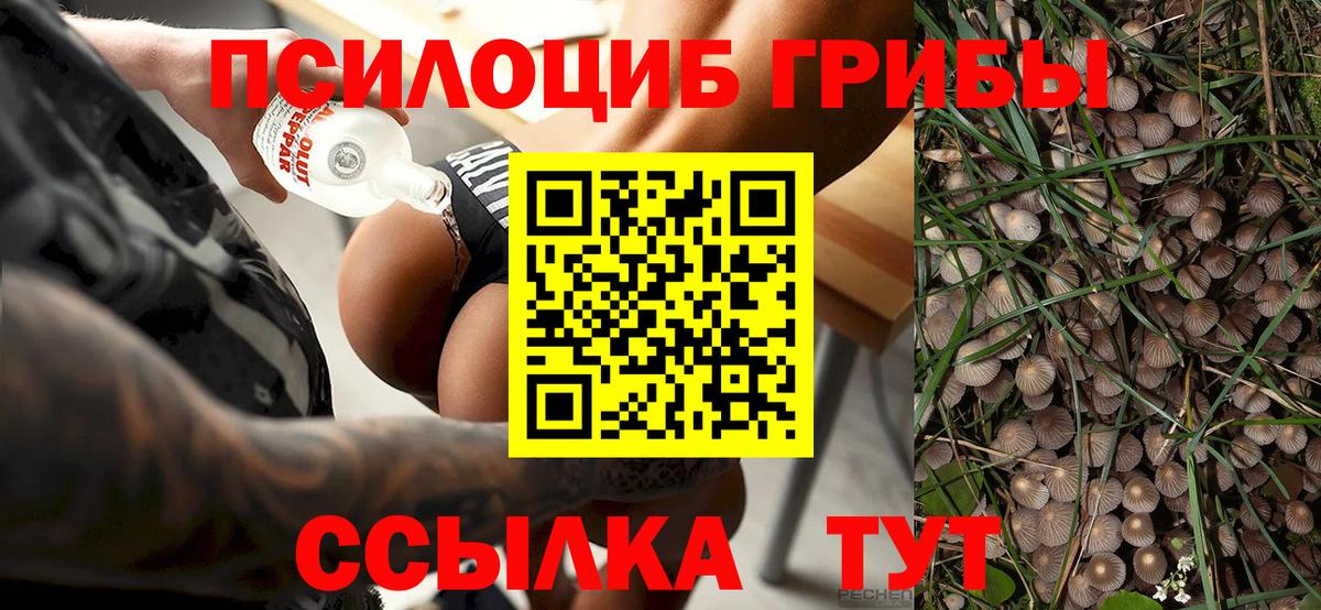 Галлюциногенные грибы Magic Shrooms  Вход с VPN  Шатура 
