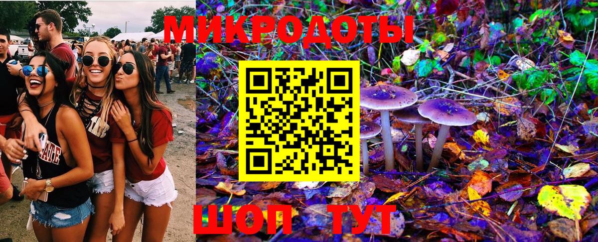 Псилоцибиновые грибы Cubensis  Шатура 