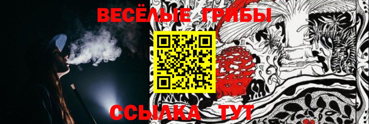 Псилоцибиновые грибы MAGIC MUSHROOMS Шатура